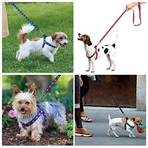 15 mm Paw Print Nylon Puppy Harness & Leash Set for Small & Medium Dogs (Color May Vary) - Pack of (Harness + Leash)