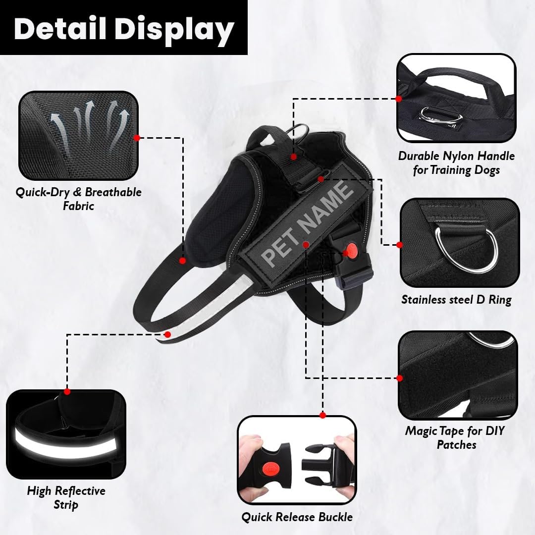 K9 Dog Harness With Name (Harness + Leash) Black