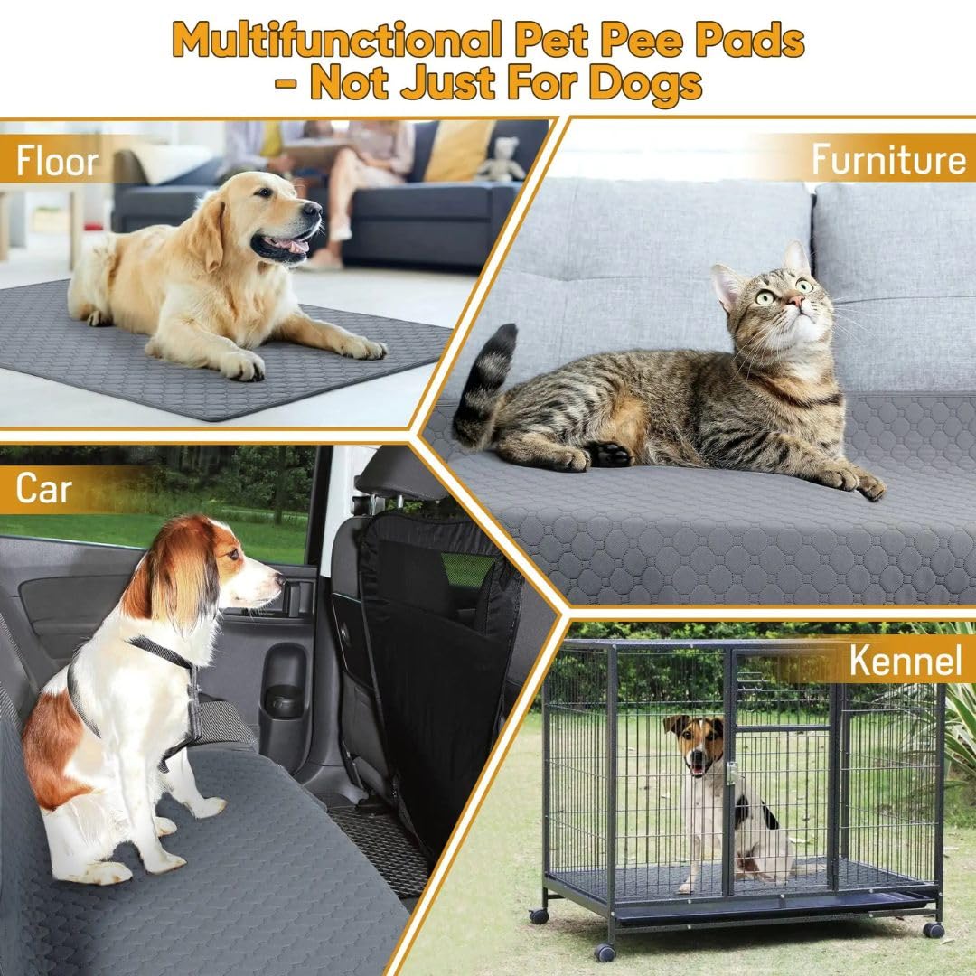 Reusable Pee Pads for Dogs (Pack of 2) | Machine Washable, Super Absorbent, Waterproof, Anti-Skid Bottom