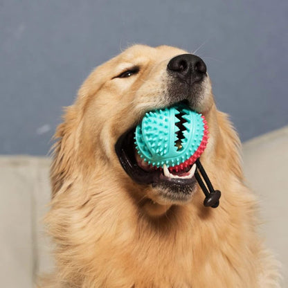 Interactive Dog Ball, Teeth Cleaning & Chew