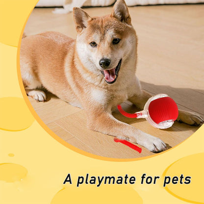Interactive Pet Ball Toy - Automatic Rolling Dancing Ball