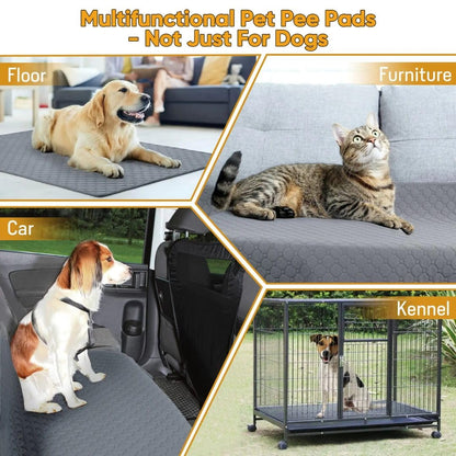 Reusable Pee Pads for Dogs (Pack of 2) | Machine Washable, Super Absorbent, Waterproof, Anti-Skid Bottom