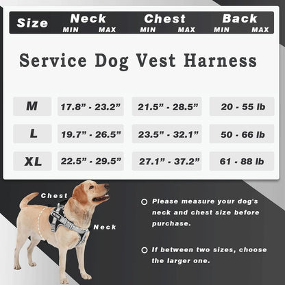Personalized Dog Harness - Reflective No Pull with Handle & Adjustable - Dog Body Belt For Large Dogs