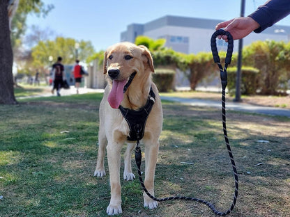 Thick Reflective Heavy Duty Leash with Anti-Slip Padded Handle (5 feet)
