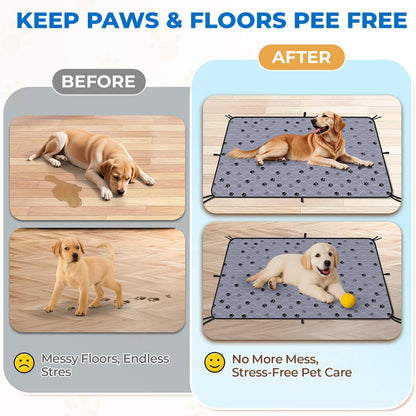 Reusable Pee Pads for Dogs (Pack of 2) | Machine Washable, Super Absorbent, Waterproof, Anti-Skid Bottom