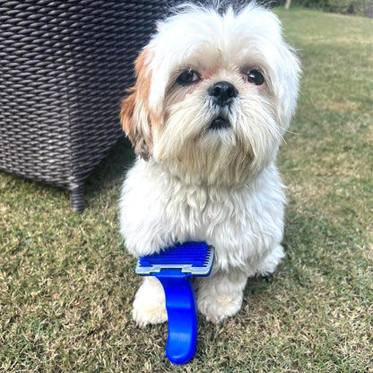 Slicker Brush for Dogs & Cat