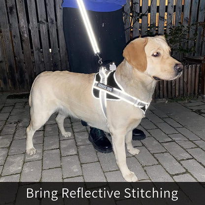 Personalized Dog Harness - Reflective No Pull with Handle & Adjustable - Dog Body Belt For Large Dogs