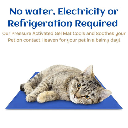 Cooling Gel Mat for Cat|  Summer Mat For Cat