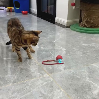 Interactive Pet Ball Toy - Automatic Rolling Dancing Ball
